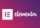 Elementor Pro v3.29.2 - The Most Advanced Website Builder Plugin