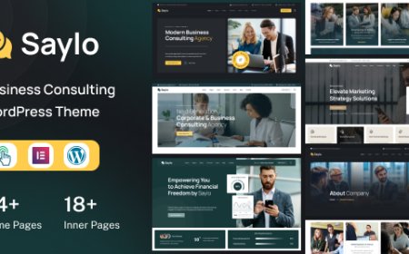 Saylo v1.0 - Finance & Consulting WordPress Theme
