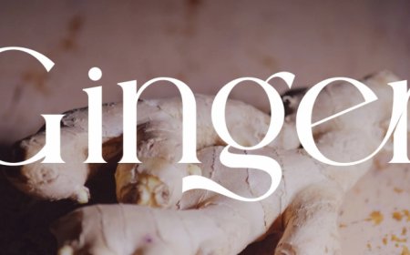 Ginger Elegant Ligature Serif Typeface