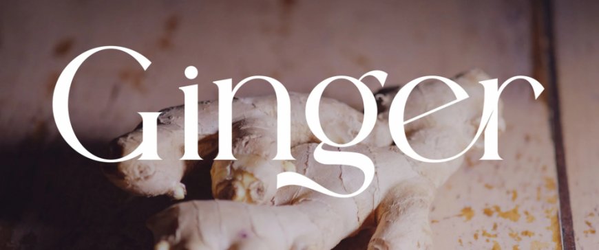 Ginger Elegant Ligature Serif Typeface